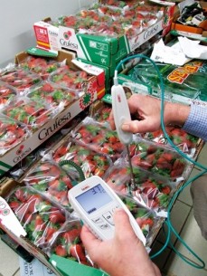 Термометр KIMO ТК 150 для пищевой индустрии