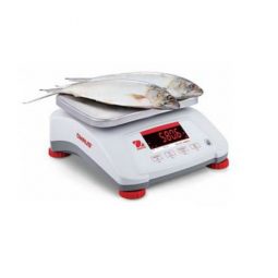 Весы технические электронные фасовочные OHAUS V41XWE3T