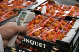 Testo 831 термометр инфракрасный