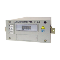 Газоанализатор водорода ГТВ-1101М-А